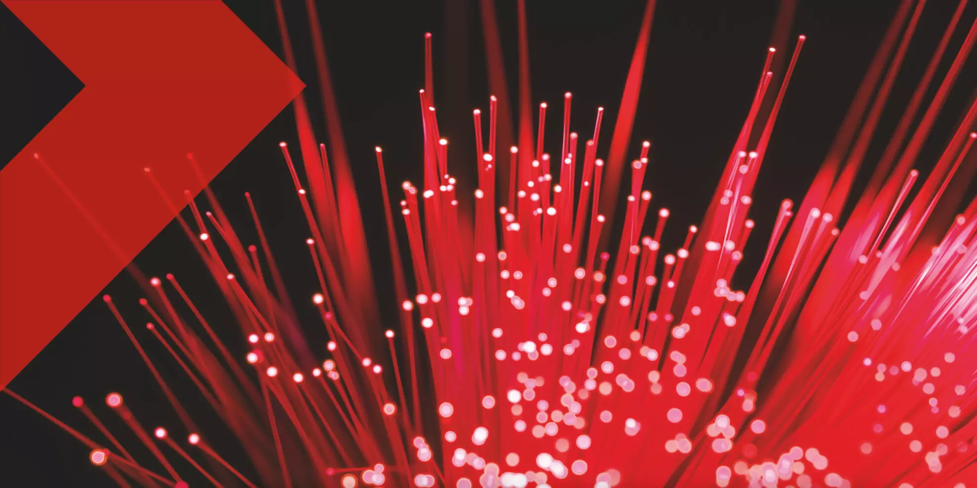 Flitsend snel en sterk internet