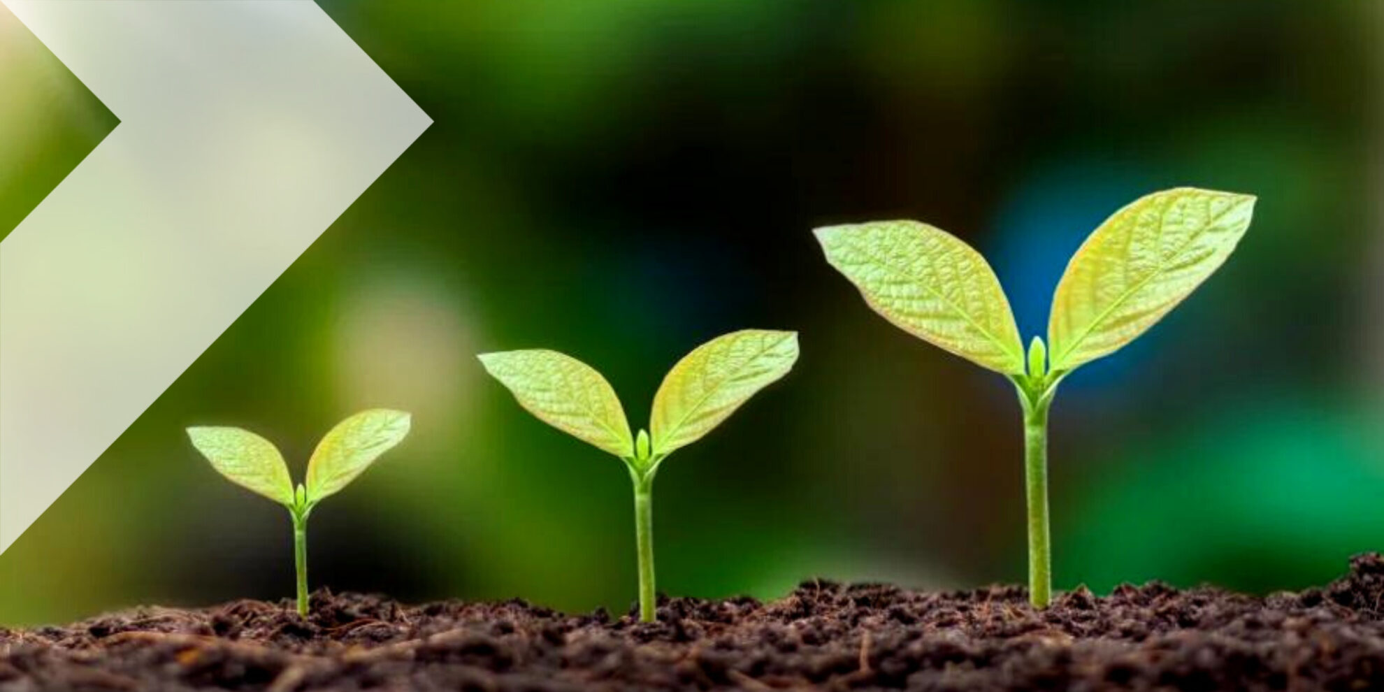 The sky is the limit, doorgroeien bij APK Group